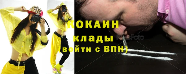 стаф Алзамай