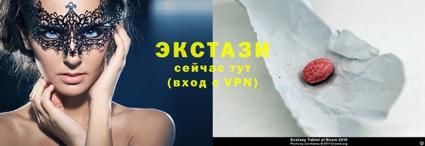 стаф Алзамай