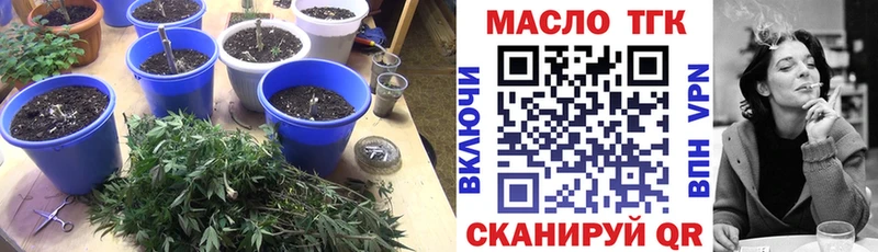 Дистиллят ТГК THC oil  купить наркотики цена  Грязи 