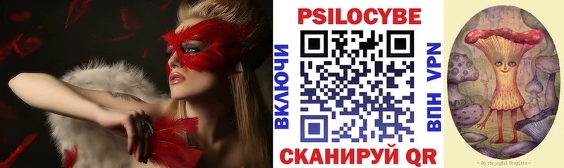 Галлюциногенные грибы GOLDEN TEACHER  наркота  Грязи 